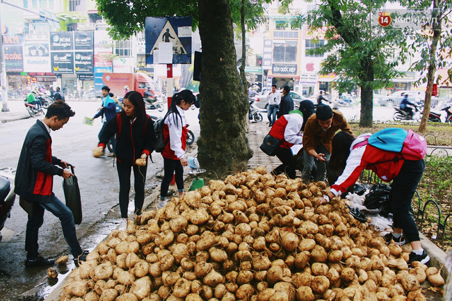 Người Hà Nội rủ nhau đi mua củ đậu ủng hộ nông dân Quảng Ngãi bị thiên tai - Ảnh 8.