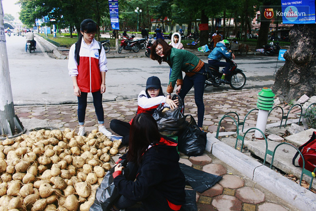 Người Hà Nội rủ nhau đi mua củ đậu ủng hộ nông dân Quảng Ngãi bị thiên tai - Ảnh 9.
