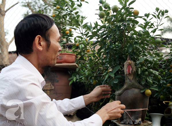 Quất bonsai bé tí giá hàng chục triệu, người Hà Nội vẫn tranh thủ đặt cọc trước để chơi Tết Đinh Dậu - Ảnh 4.