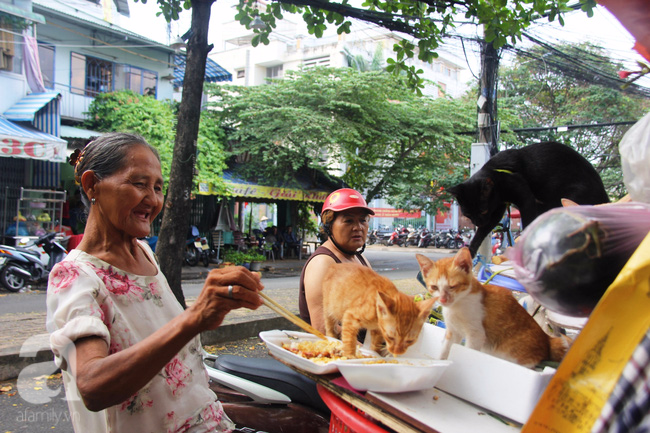 Không gia đình, cụ bà 87 tuổi ngủ lề đường chăm bẵm đàn con 20 chú mèo bị bỏ rơi giữa Sài Gòn - Ảnh 9.