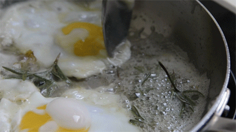 10 bức ảnh động chứng minh cho bạn thấy trứng là món ăn hấp dẫn nhất hệ mặt trời - Ảnh 4.