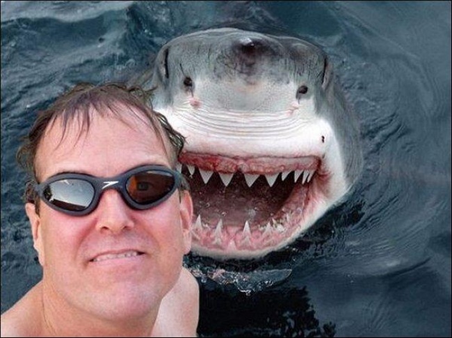 Đưa đầu vào miệng cá sấu cười toe toét, anh chàng khiến người xem bủn rủn tay chân và loạt ảnh selfie thách thức Tử thần không phải ai cũng dám thử - Ảnh 20.