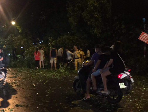 Hà Nội: Sau trận mưa lớn, cành cây cổ thụ bị gãy, rơi trúng 2 người khiến nhập viện - Ảnh 4.