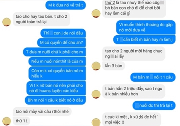 Cho bạn thân mượn chó cưng để chữa trầm cảm, cô gái chết đứng khi nghe tin... bạn bán luôn chó lấy tiền tiêu xài - Ảnh 3. Cho bạn thân mượn chó cưng để chữa trầm cảm, cô gái chết đứng khi nghe tin... bạn bán luôn chó lấy tiền tiêu xài - Ảnh 3.