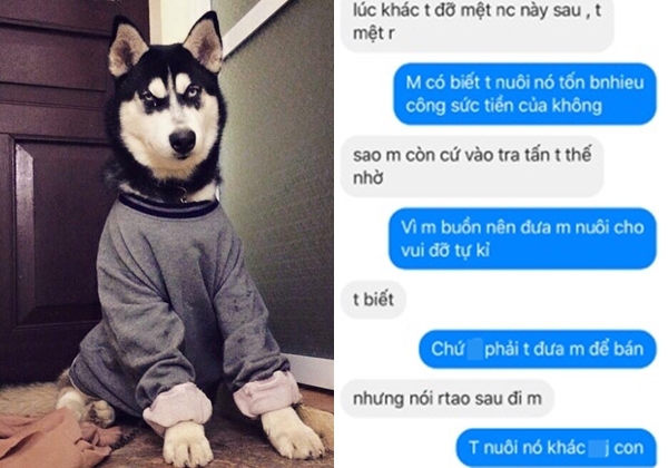 Cho bạn thân mượn chó cưng để chữa trầm cảm, cô gái chết đứng khi nghe tin... bạn bán luôn chó lấy tiền tiêu xài - Ảnh 5. Cho bạn thân mượn chó cưng để chữa trầm cảm, cô gái chết đứng khi nghe tin... bạn bán luôn chó lấy tiền tiêu xài - Ảnh 5.