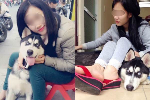 Cho bạn thân mượn chó cưng để chữa trầm cảm, cô gái chết đứng khi nghe tin... bạn bán luôn chó lấy tiền tiêu xài - Ảnh 1. Cho bạn thân mượn chó cưng để chữa trầm cảm, cô gái chết đứng khi nghe tin... bạn bán luôn chó lấy tiền tiêu xài - Ảnh 1.