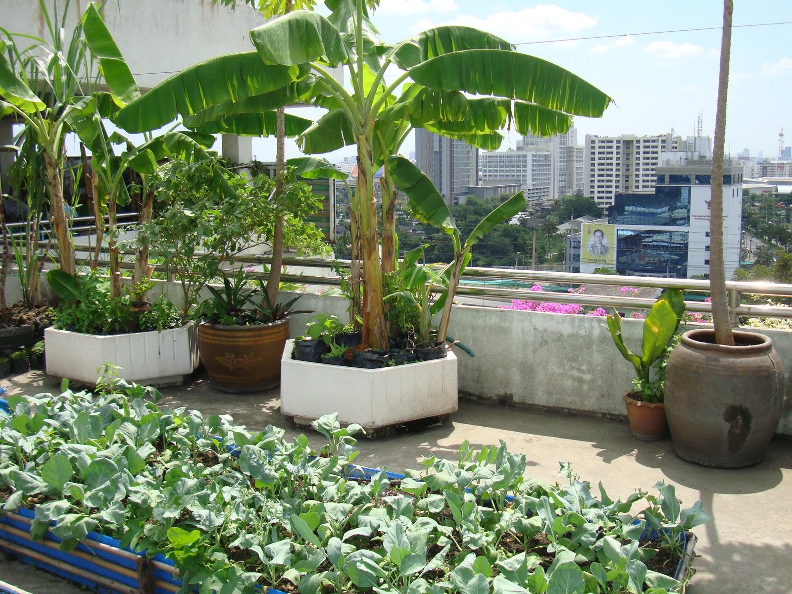 Vườn trên sân thượng: Thưởng thức không gian xanh độc đáo và tận hưởng khoảng không tuyệt vời trên sân thượng với một vườn cây xanh tươi và đầy sức sống. Hãy trốn khỏi cuộc sống ồn ào và thưởng thức tiếng ru của thiên nhiên trên sân thượng của bạn.