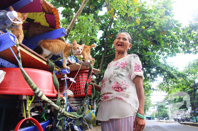 Không gia đình, cụ bà 87 tuổi ngủ lề đường chăm bẵm đàn con 20 chú mèo bị bỏ rơi giữa Sài Gòn - Ảnh 4.