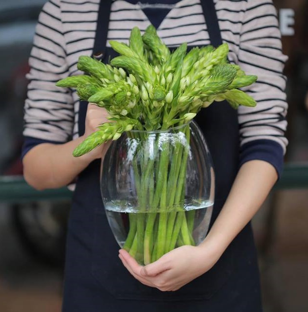 Mê mẩn với những loài hoa đắt đỏ, sang chảnh ngày 8/3 mà nàng nào cũng muốn được nhận 1 lần trong đời - Ảnh 19.