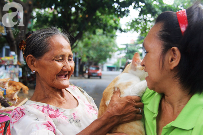 Không gia đình, cụ bà 87 tuổi ngủ lề đường chăm bẵm đàn con 20 chú mèo bị bỏ rơi giữa Sài Gòn - Ảnh 11.