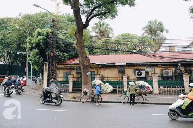 Hà Nội đẹp lãng mạn trong gió lạnh đầu đông - Ảnh 1.