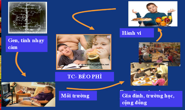 Nhiều doanh nghiệp thiếu đạo đức quảng cáo lôi cuốn trẻ em, cha mẹ mua các sản phẩm khiến trẻ bị béo phì - Ảnh 4.