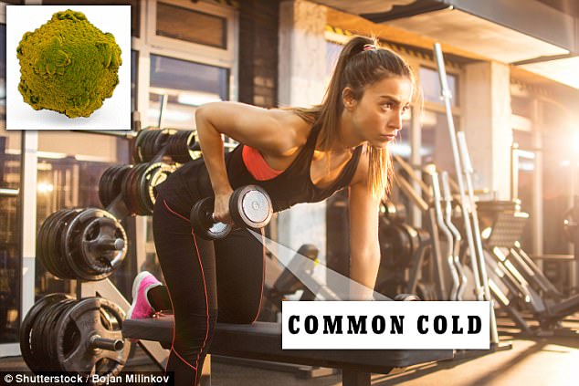 Tiết lộ 5 điều bạn nên thực hiện ở phòng tập gym để giảm thiểu nguy cơ mắc bệnh - Ảnh 5.