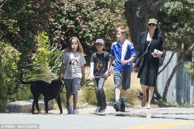 Angelina Jolie thư thái dẫn con đi dạo, Brad Pitt lên tiếng về tin đồn tự tử - Ảnh 2.