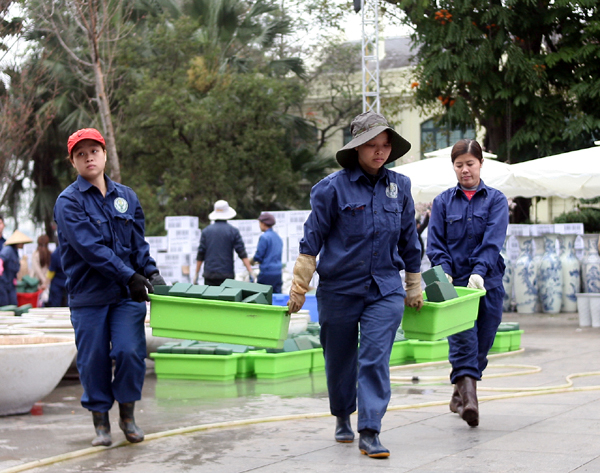 Hà Nội: 100% hoa tại lễ hội hoa anh đào Nhật Bản sắp diễn ra đều là thật - Ảnh 12.