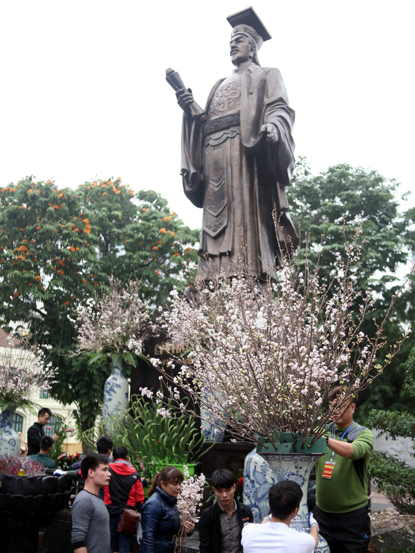 Hà Nội: 100% hoa tại lễ hội hoa anh đào Nhật Bản sắp diễn ra đều là thật - Ảnh 4.