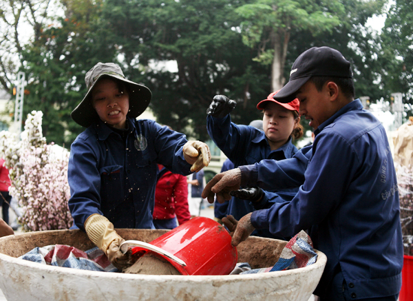 Hà Nội: 100% hoa tại lễ hội hoa anh đào Nhật Bản sắp diễn ra đều là thật - Ảnh 10.