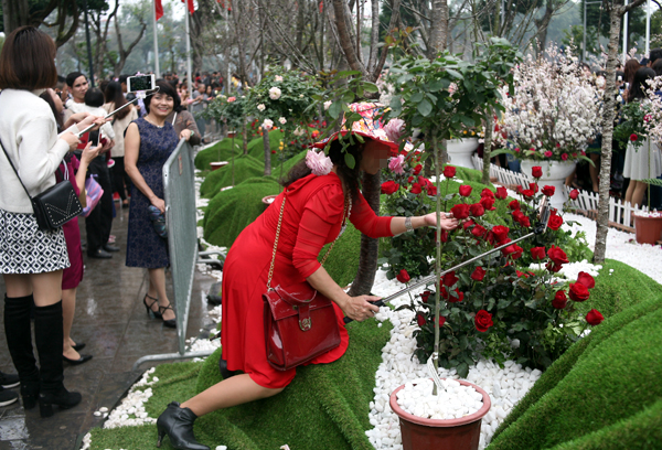 Hình ảnh xấu xí tại lễ hội hoa anh đào 2017: Mặc kệ hoa, miễn sao ảnh đẹp - Ảnh 1.