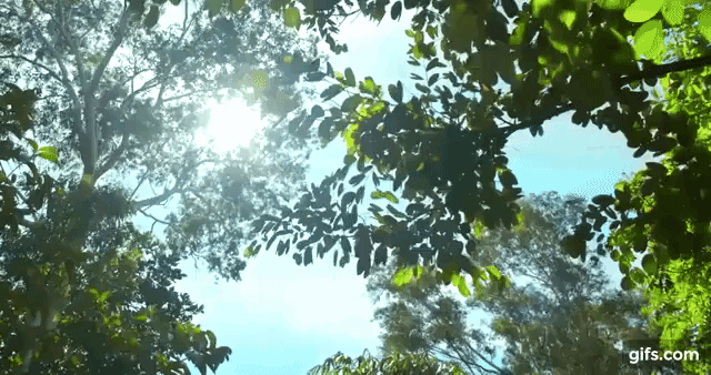 Cuộc sống bình yên của gia đình ca sĩ Mỹ Linh trong nhà vườn ngập tràn sắc hoa ở ngoại ô - Ảnh 5. Cuộc sống bình yên của gia đình ca sĩ Mỹ Linh trong nhà vườn ngập tràn sắc hoa ở ngoại ô - Ảnh 5.