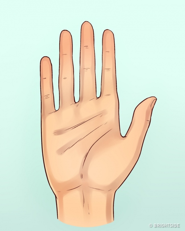 Lật bàn tay một người, chỉ cần để ý 3 yếu tố thôi là đã biết tính cách họ ra sao - Ảnh 5.