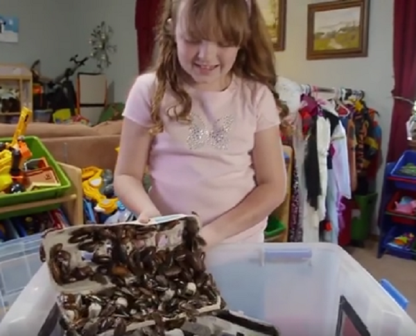 Kinh ngạc bé gái 8 tuổi nuôi hàng nghìn con gián làm thú cưng - Ảnh 2.
