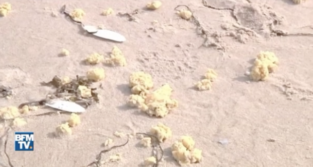 Bí ẩn hàng triệu vật thể lạ màu vàng không rõ nguồn gốc dải đầy bãi biển - Ảnh 3.