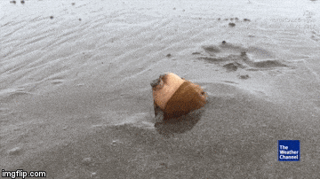 Đoạn clip kì lạ quay cảnh con trai biển hì hục đào cát thu hút triệu lượt xem - Ảnh 6.
