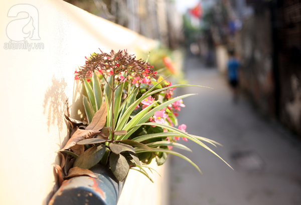 Đốn tim những bức họa “có một không hai” của cụ ông 95 tuổi trong ngõ nhỏ Hà Nội - Ảnh 16.