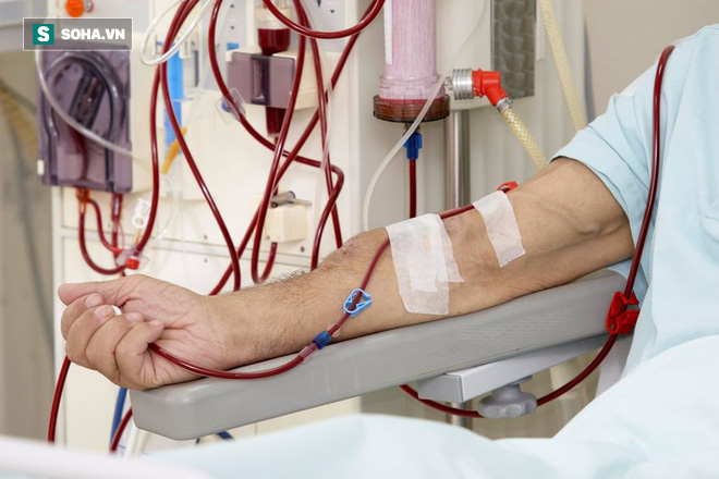 Chuyên gia đầu ngành chỉ ra loại biến chứng nguy hiểm nhất khi chạy thận - Ảnh 2. Chuyên gia đầu ngành chỉ ra loại biến chứng nguy hiểm nhất khi chạy thận - Ảnh 2.