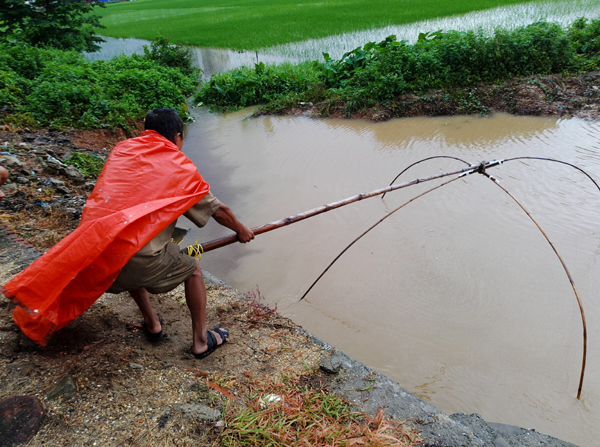 Sau mưa bão, người Hà Nội cất vó đánh cá cạnh các Khu đô thị mới - Ảnh 4.
