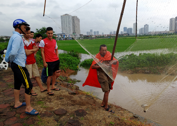 Sau mưa bão, người Hà Nội cất vó đánh cá cạnh các Khu đô thị mới - Ảnh 3.