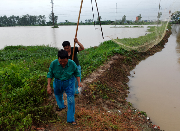 Sau mưa bão, người Hà Nội cất vó đánh cá cạnh các Khu đô thị mới - Ảnh 2.