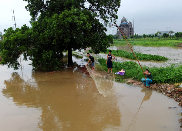 Sau mưa bão, người Hà Nội cất vó đánh cá cạnh các Khu đô thị mới - Ảnh 1.