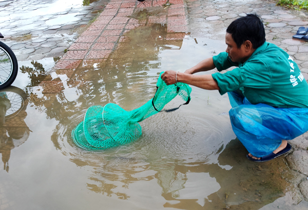 Sau mưa bão, người Hà Nội cất vó đánh cá cạnh các Khu đô thị mới - Ảnh 5.