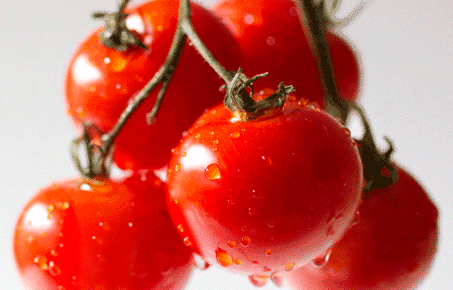 Những sự thật có thể gây sốc về quả cà chua ai cũng từng ăn - Ảnh 7.