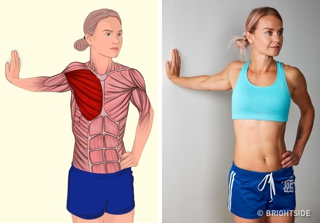 18 hình ảnh này cho bạn thấy cơ bắp đã được căng giãn thế nào trong mỗi tư  thế tập