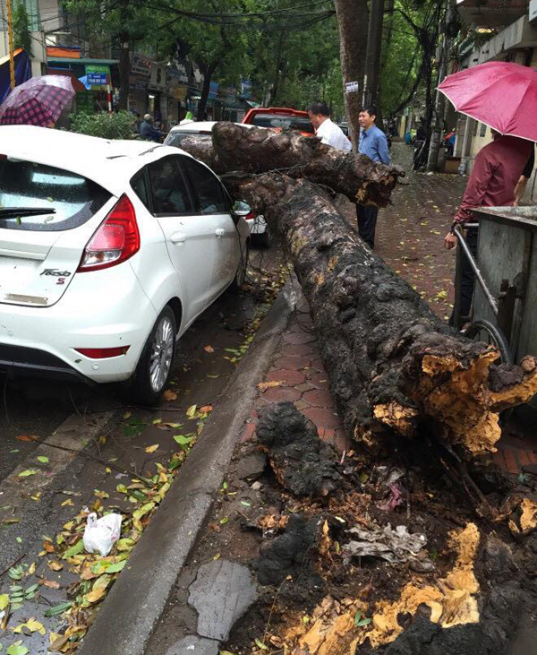 Hà Nội: Bất ngờ giông lốc, mưa lớn khiến cây đổ đè bẹp ô tô - Ảnh 1.