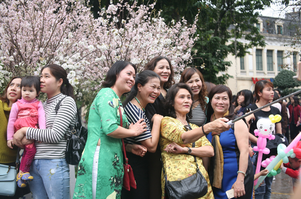 Tranh thủ trời tạnh ráo, người dân kéo đến lễ hội hoa anh đào, chen nhau nghẹt thở để chụp ảnh - Ảnh 5.