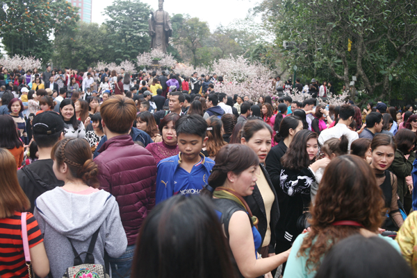 Tranh thủ trời tạnh ráo, người dân kéo đến lễ hội hoa anh đào, chen nhau nghẹt thở để chụp ảnh - Ảnh 8.