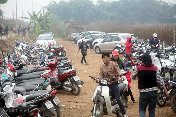 Hà Nội: Bất chấp trời lạnh và mưa, hàng nghìn người đổ về làng hoa Nhật Tân chụp ảnh - Ảnh 4.