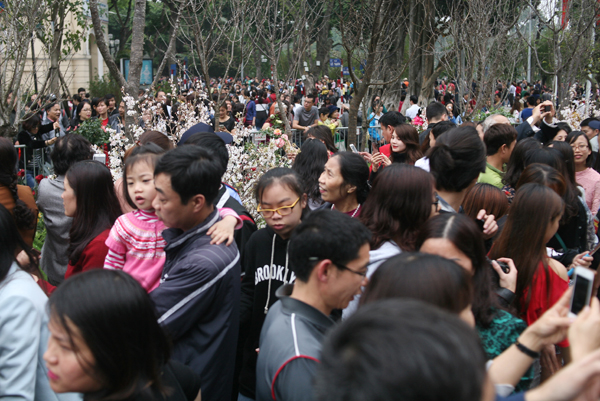 Tranh thủ trời tạnh ráo, người dân kéo đến lễ hội hoa anh đào, chen nhau nghẹt thở để chụp ảnh - Ảnh 10.