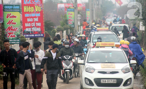 Hà Nội: Bất chấp trời lạnh và mưa, hàng nghìn người đổ về làng hoa Nhật Tân chụp ảnh - Ảnh 2.