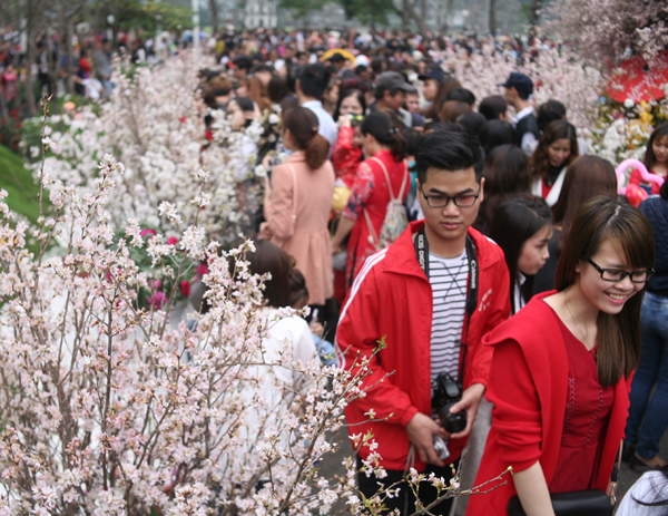 Tranh thủ trời tạnh ráo, người dân kéo đến lễ hội hoa anh đào, chen nhau nghẹt thở để chụp ảnh - Ảnh 13.