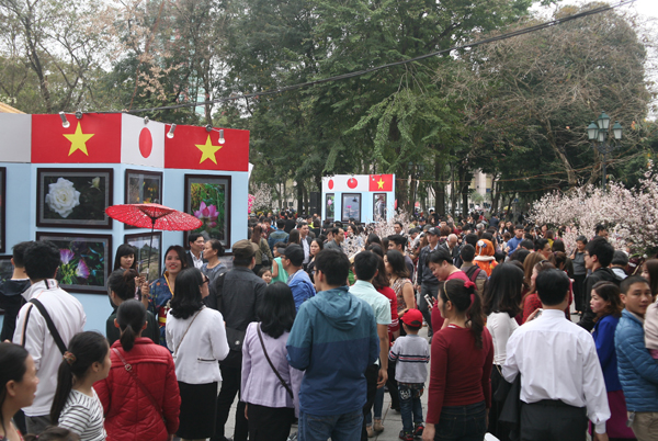 Tranh thủ trời tạnh ráo, người dân kéo đến lễ hội hoa anh đào, chen nhau nghẹt thở để chụp ảnh - Ảnh 17.