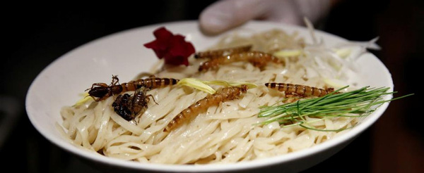 Mỳ côn trùng, cơm dế, nem sâu: Xu hướng ẩm thực mới lạ đang gây sốt tại Nhật Bản - Ảnh 1.