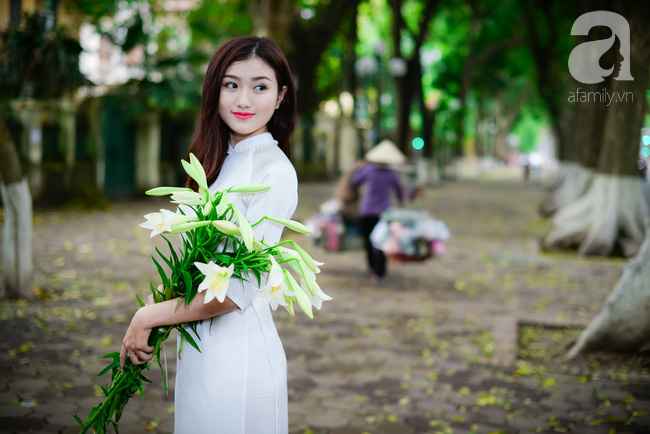 Hoa loa kèn đẹp ngỡ ngàng trên phố Hà Nội tháng Tư - Ảnh 10.