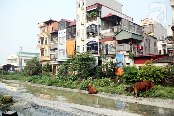 Nhìn cảnh lầy lội như kênh mương này, ai dám nghĩ đây là con đường ngay giữa Thủ đô - Ảnh 2.