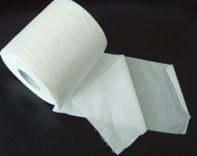 Sử dụng hàng ngày nhưng liệu bạn đã biết sự thật về cuộn giấy vệ sinh đầu tiên trên thế giới? - Ảnh 4.