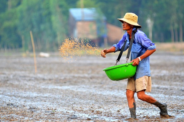 Thả hồn về miền Tây hiền hòa với bộ ảnh đẹp mê ly của thầy giáo gốc Bắc - Ảnh 5.