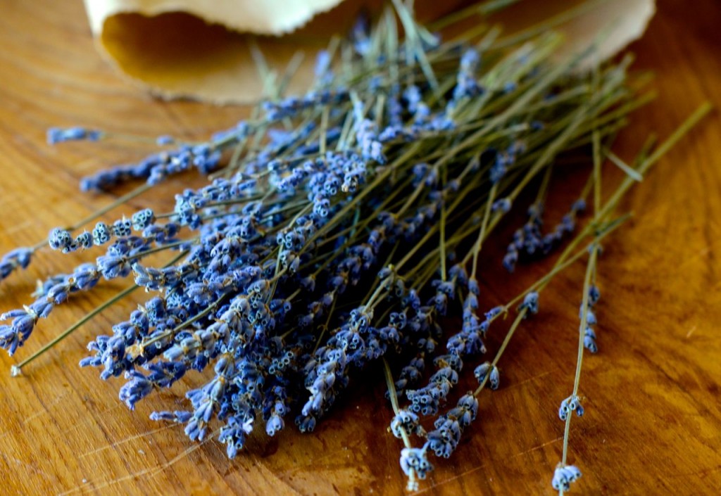 Hoa kh&ocirc; chơi Tết khiến người h&iacute;t phải sẽ ngủ li b&igrave;: Sự thật thế n&agrave;o? - Ảnh 4.